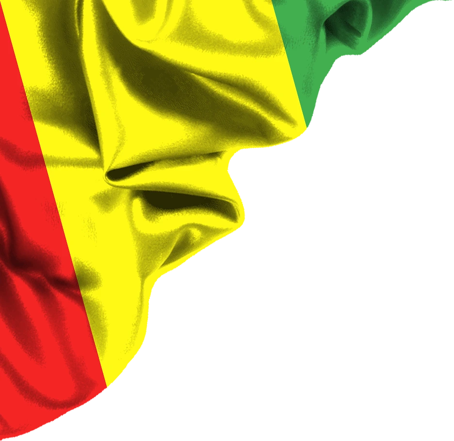 guinea-1.webp